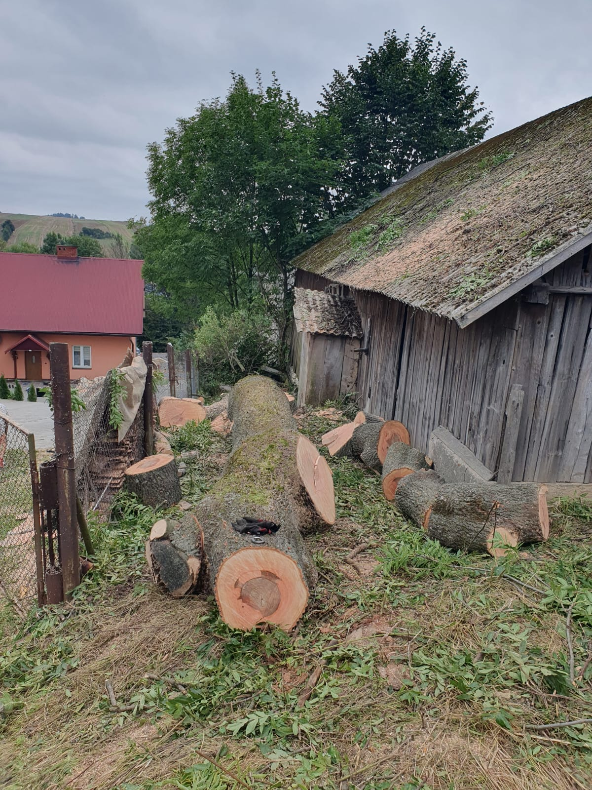 Frezowanie korzeni - praca 9