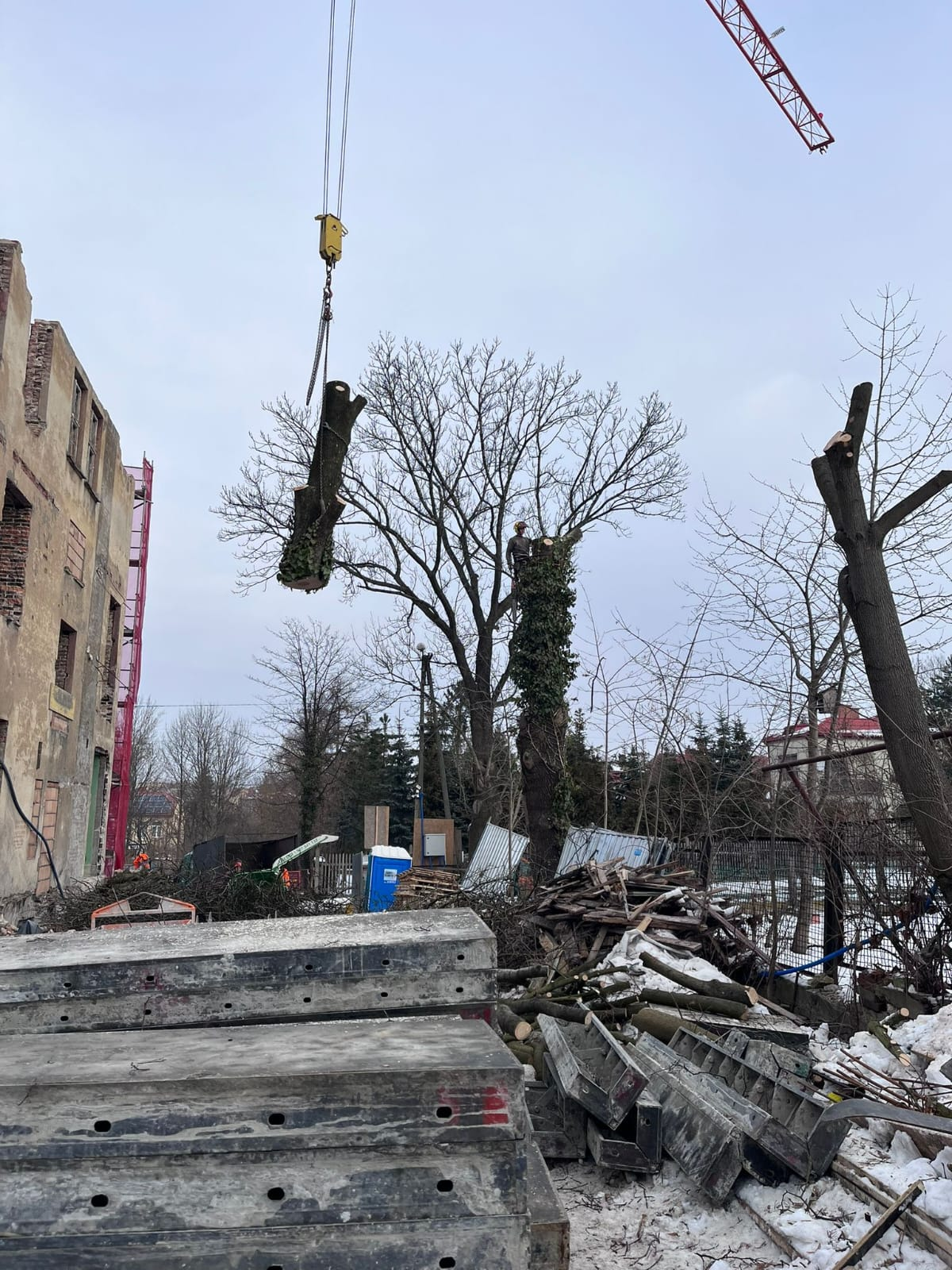 Karczowanie działek - praca 12