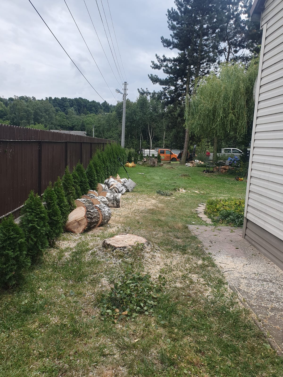 Formowanie drzew i tui - praca 7